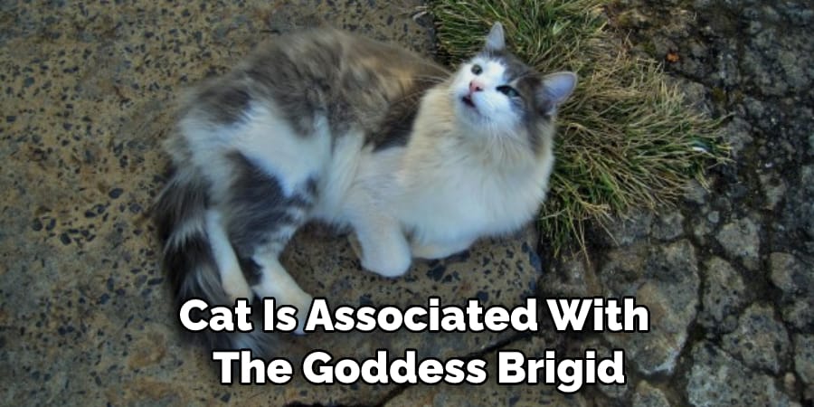 Cat Is Associated With  The Goddess Brigid