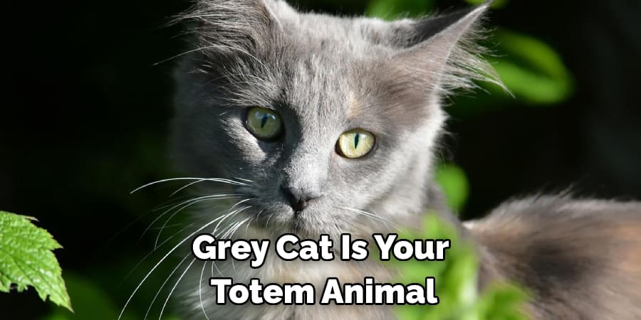 Grey Cat Is Your Totem Animal