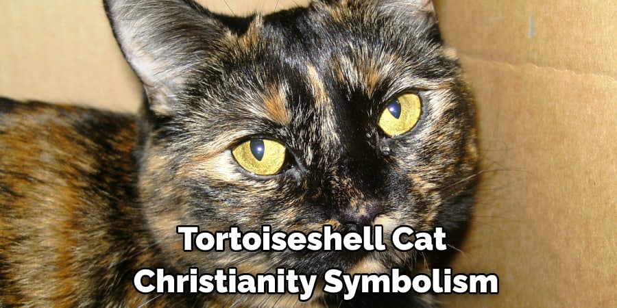 Tortoiseshell Cat  Christianity Symbolism