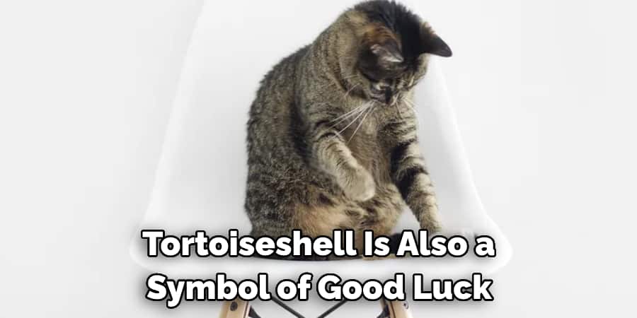  Tortoiseshell Is Also a  Symbol of Good Luck