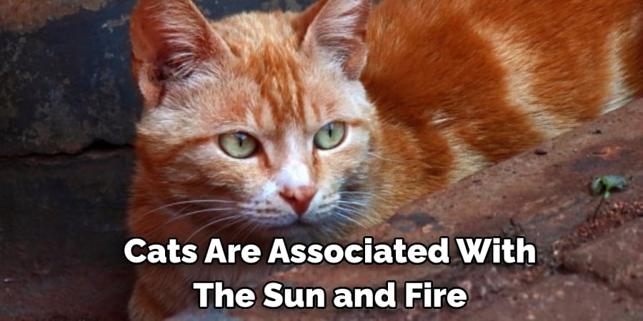 Cats Are Associated With  The Sun and Fire