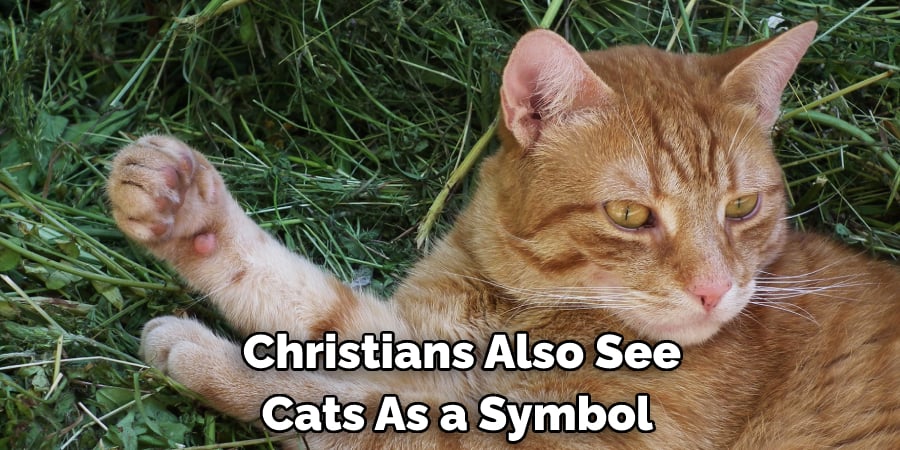  Christians Also See  Cats As a Symbol 