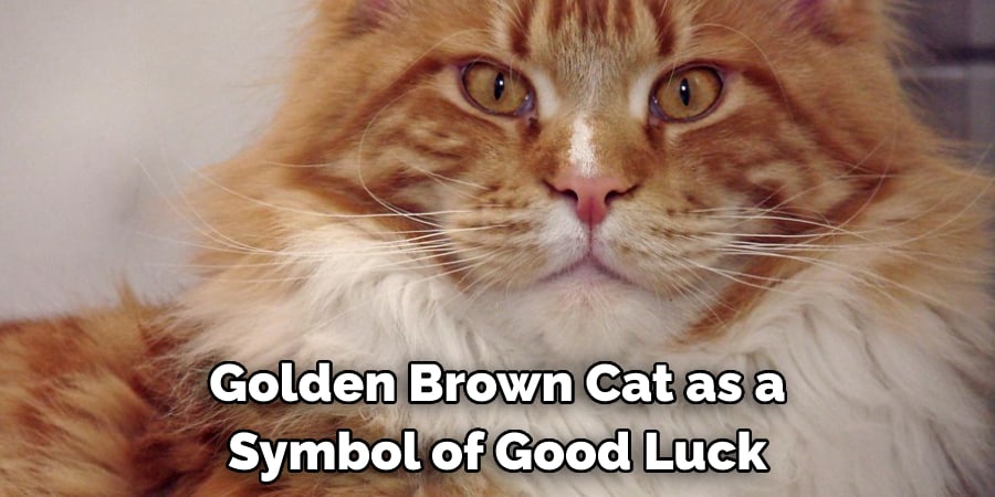  Golden Brown Cat as a  Symbol of Good Luck