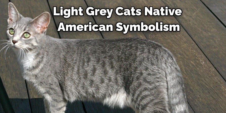 Light Grey Cats Native  American Symbolism