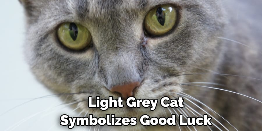  Light Grey Cat  Symbolizes Good Luck
