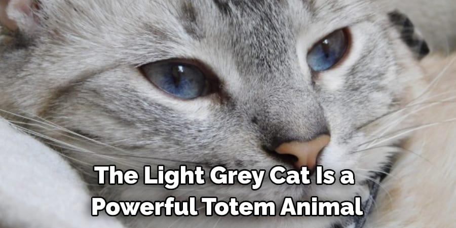 The Light Grey Cat Is a  Powerful Totem Animal