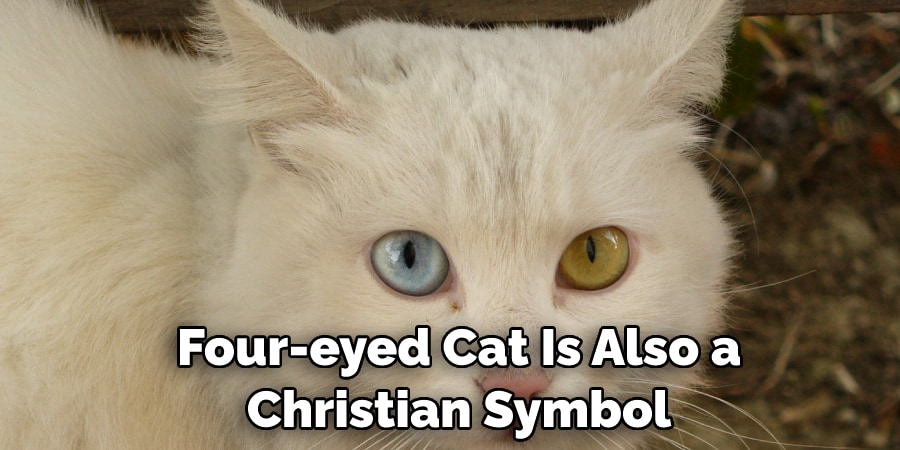  Four-eyed Cat Is Also a  Christian Symbol