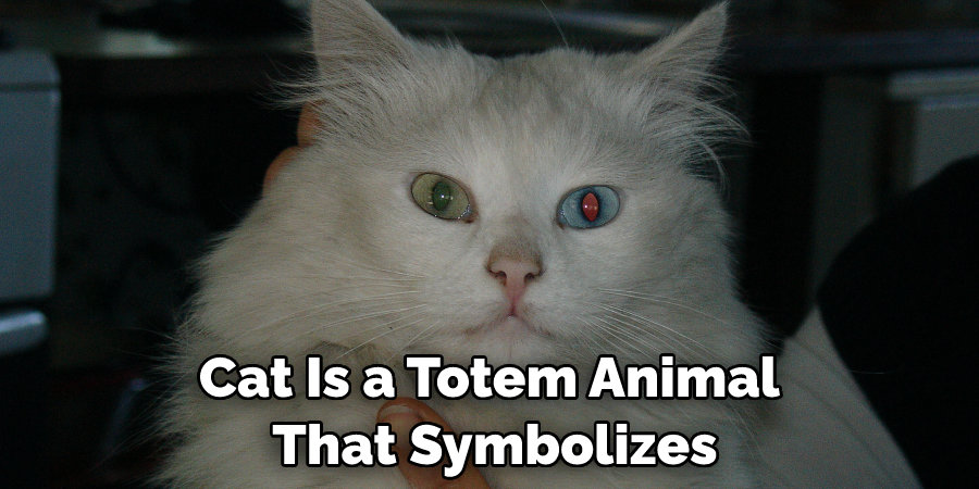 Cat Is a Totem Animal  That Symbolizes