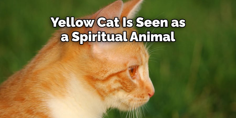 Yellow Cat Is Seen as  a Spiritual Animal