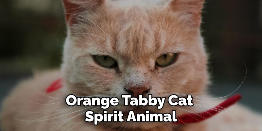 Orange Tabby Cat Spirit Animal