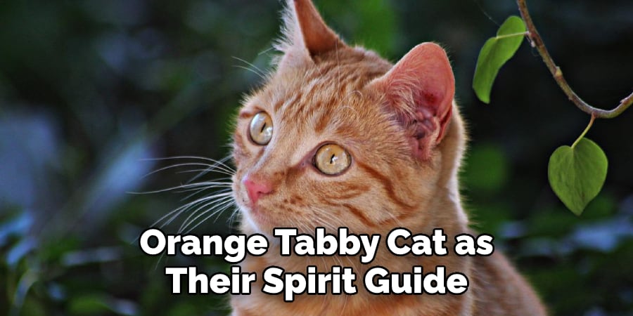 Orange Tabby Cat as  Their Spirit Guide