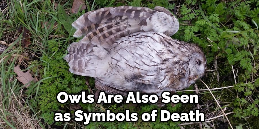 Owls Are Also Seen  as Symbols of Death