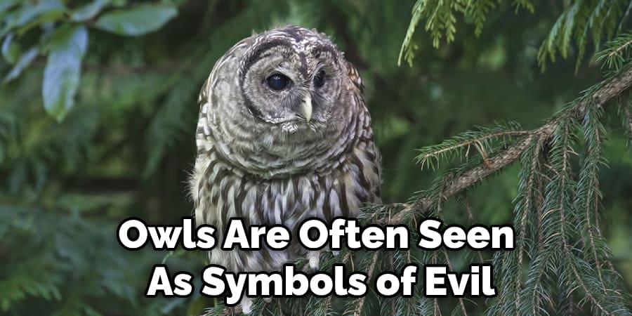 Owls Are Often Seen  As Symbols of Evil