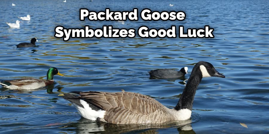 Packard Goose  Symbolizes Good Luck