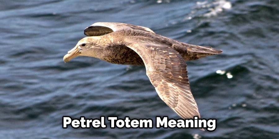 Petrel Totem Meaning