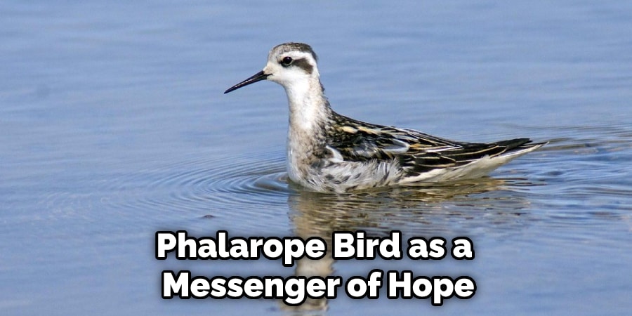 Phalarope Bird as a  Messenger of Hope