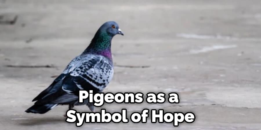 Pigeons as a  Symbol of Hope