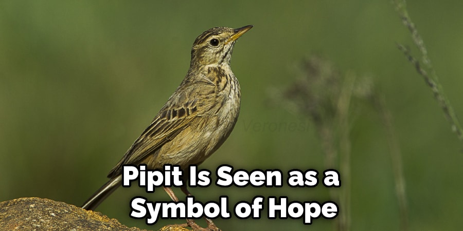 Pipit Is Seen as a  Symbol of Hope