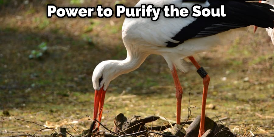 Power to Purify the Soul