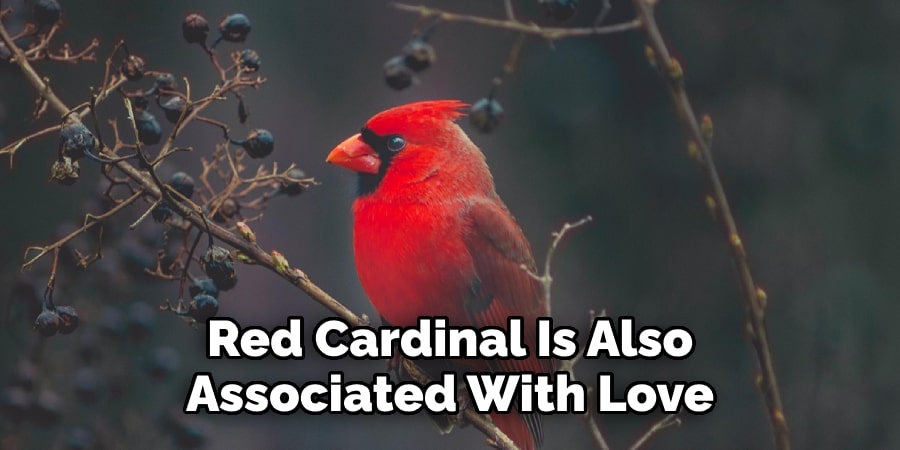 Red Cardinal Is Also Associated With Love