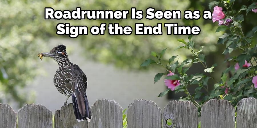 Roadrunner Is Seen as a  Sign of the End Time