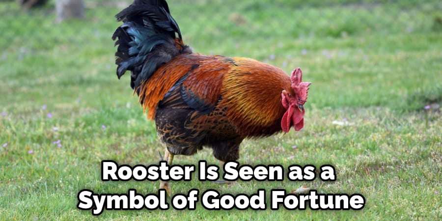 Rooster Is Seen as a  Symbol of Good Fortune