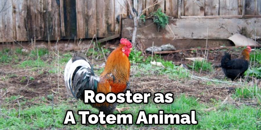 Rooster as  A Totem Animal