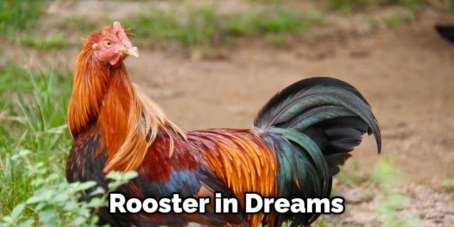 Rooster in Dreams