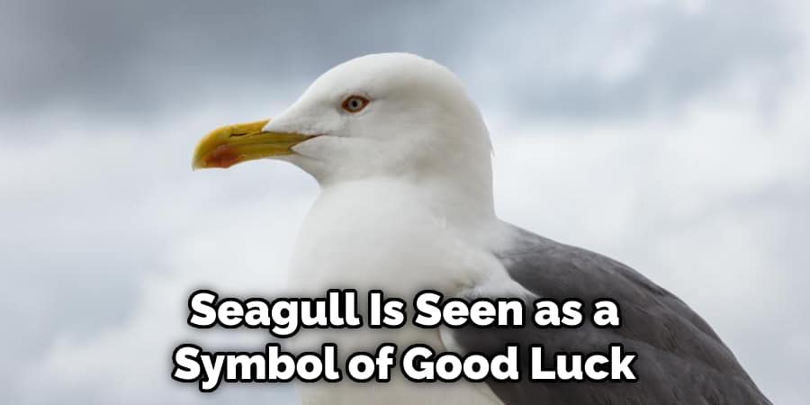  Seagull Is Seen as a  Symbol of Good Luck