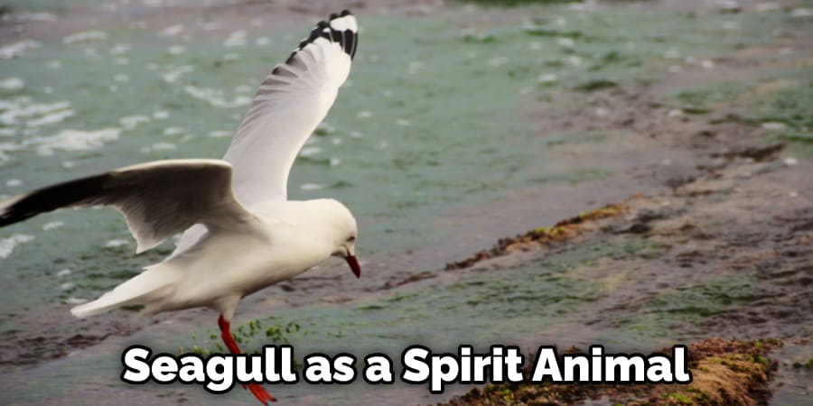 Seagull as a Spirit Animal