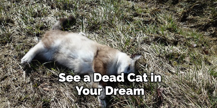 See a Dead Cat in  Your Dream