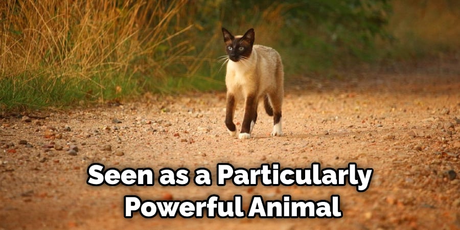 Seen as a Particularly  Powerful Animal