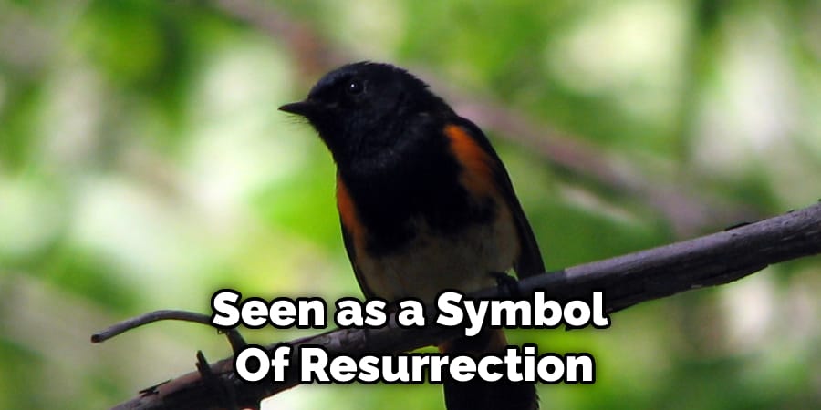 Seen as a Symbol  Of Resurrection