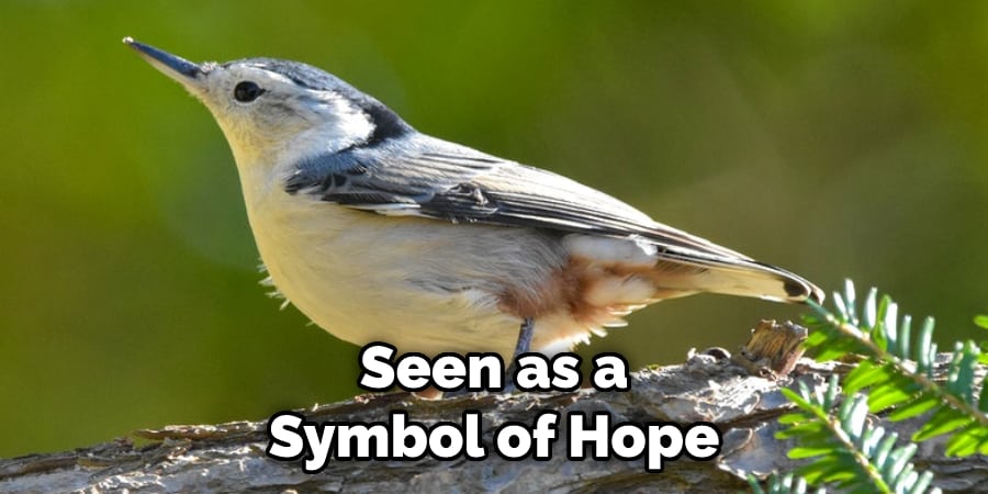  Seen as a  Symbol of Hope