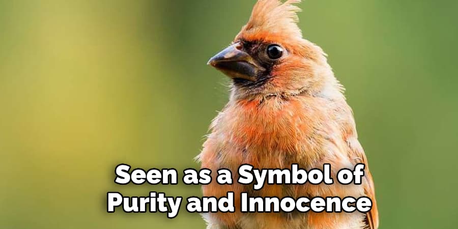 Seen as a Symbol of Purity and Innocence