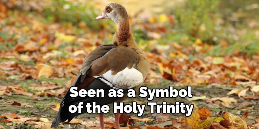 Seen as a Symbol of the Holy Trinity