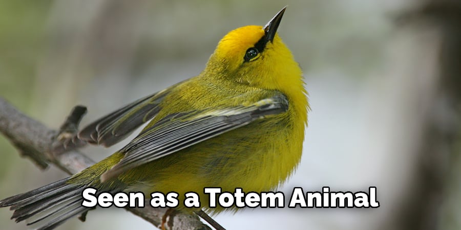 Seen as a Totem Animal