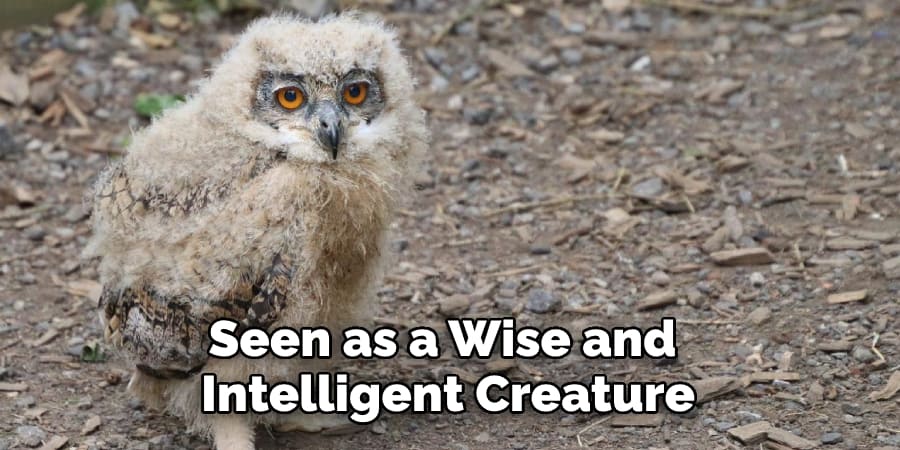 Seen as a Wise and Intelligent Creature