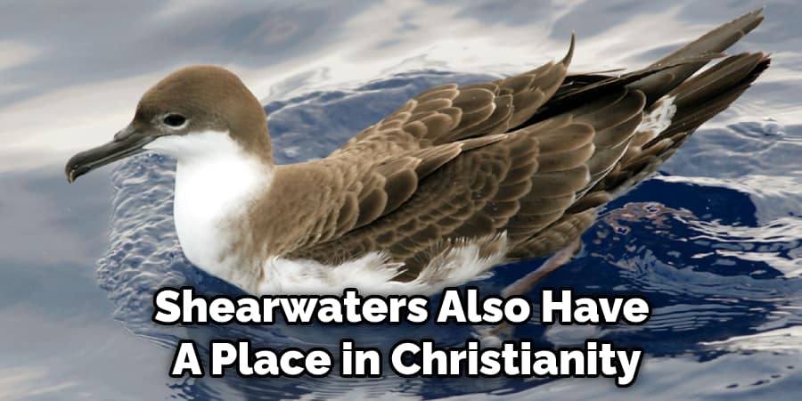 Shearwaters Also Have  A Place in Christianity