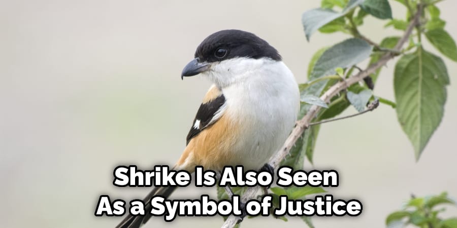 Shrike Is Also Seen  As a Symbol of Justice