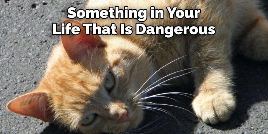 Something in Your  Life That Is Dangerous