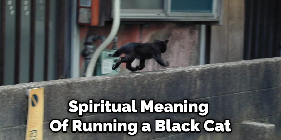 Spiritual Meaning  Of Running a Black Cat