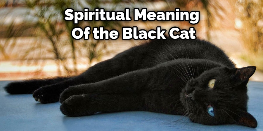 Spiritual Meaning  Of the Black Cat