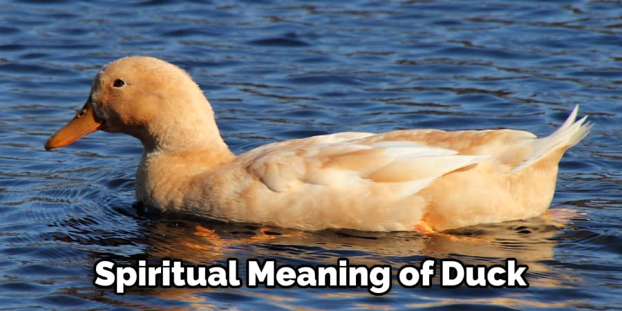 Spiritual Meaning of Duck