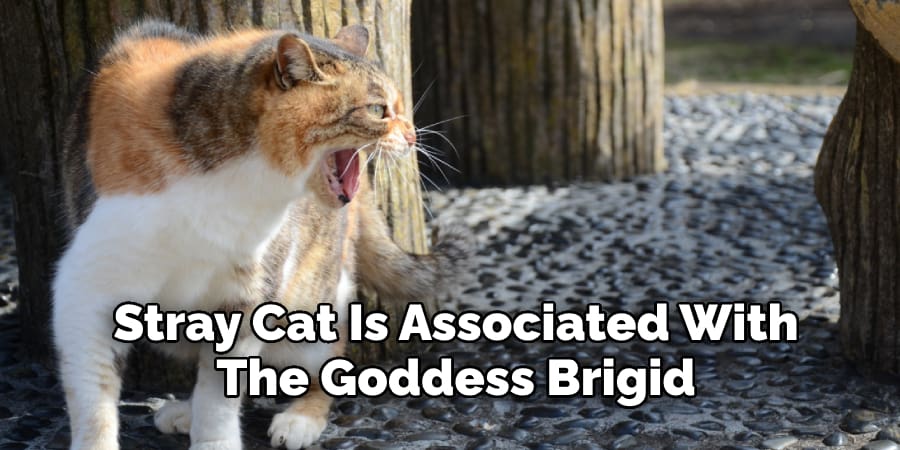 Stray Cat Is Associated With  The Goddess Brigid