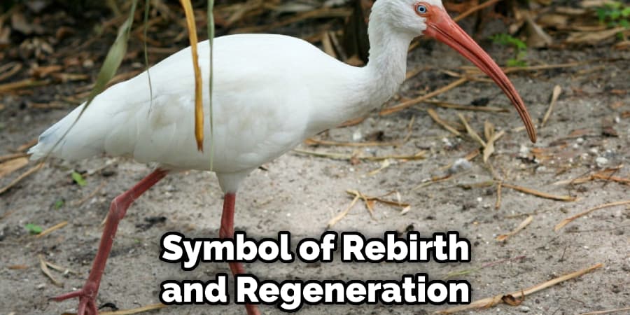Symbol of Rebirth and Regeneration