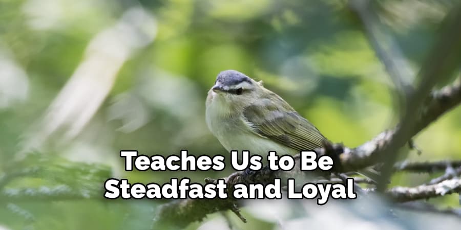 Teaches Us to Be  Steadfast and Loyal