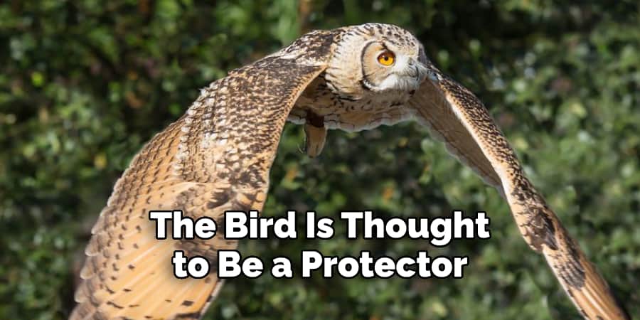 The Bird Is Thought to Be a Protector
