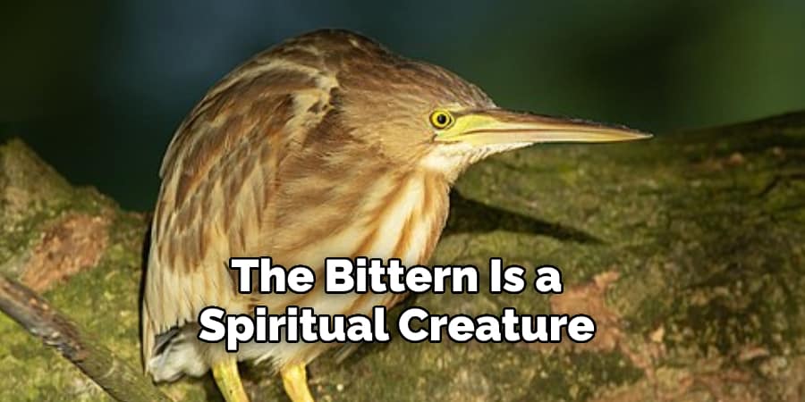 The Bittern Is a Spiritual Creature 