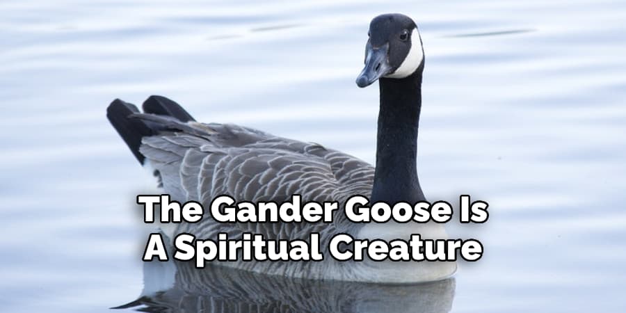 The Gander Goose Is  A Spiritual Creature